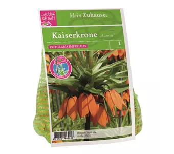 Blumenzwiebel Kaiserkrone orange