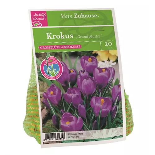 Blumenzwiebel Krokus 'Grand Maitre'